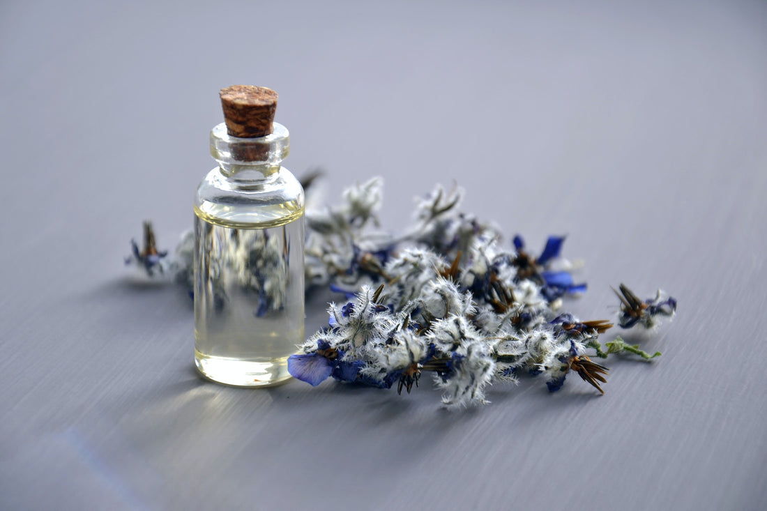 Premium Fragrance Oils: Elevate Your Fragrance Oil Experience with BBPD