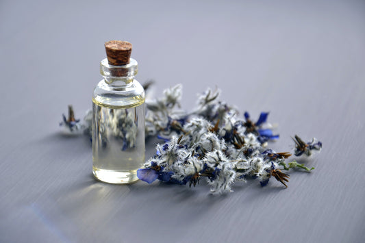 Premium Fragrance Oils: Elevate Your Fragrance Oil Experience with BBPD